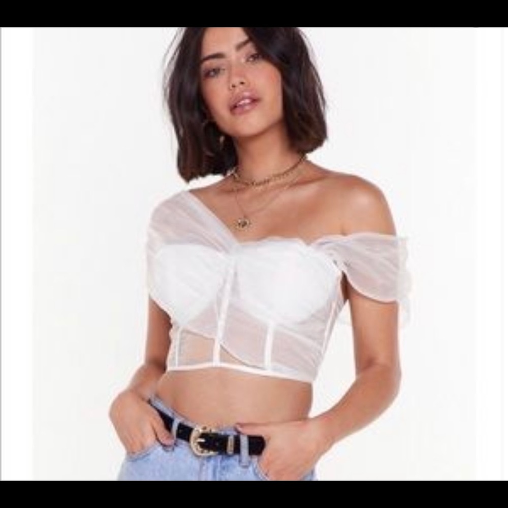 Nasty Gal Don't Hate the Layer Organza Crop Top